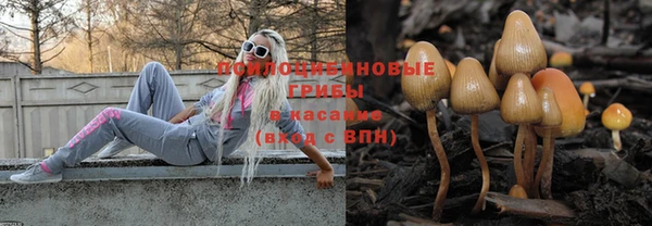 прущая мука Дмитров